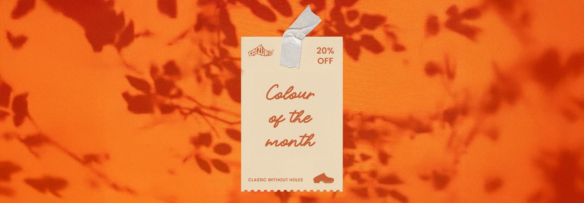 ENG-colore-arancio-header-orizzontale.jpg