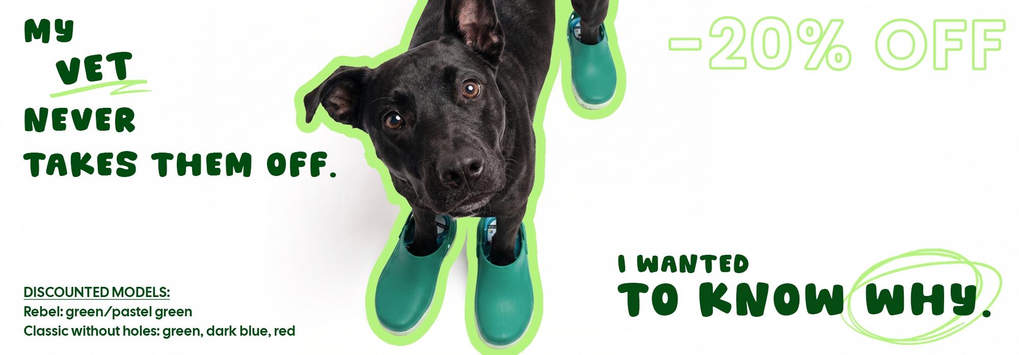ENG-header-orizzontale-veterinari.jpg