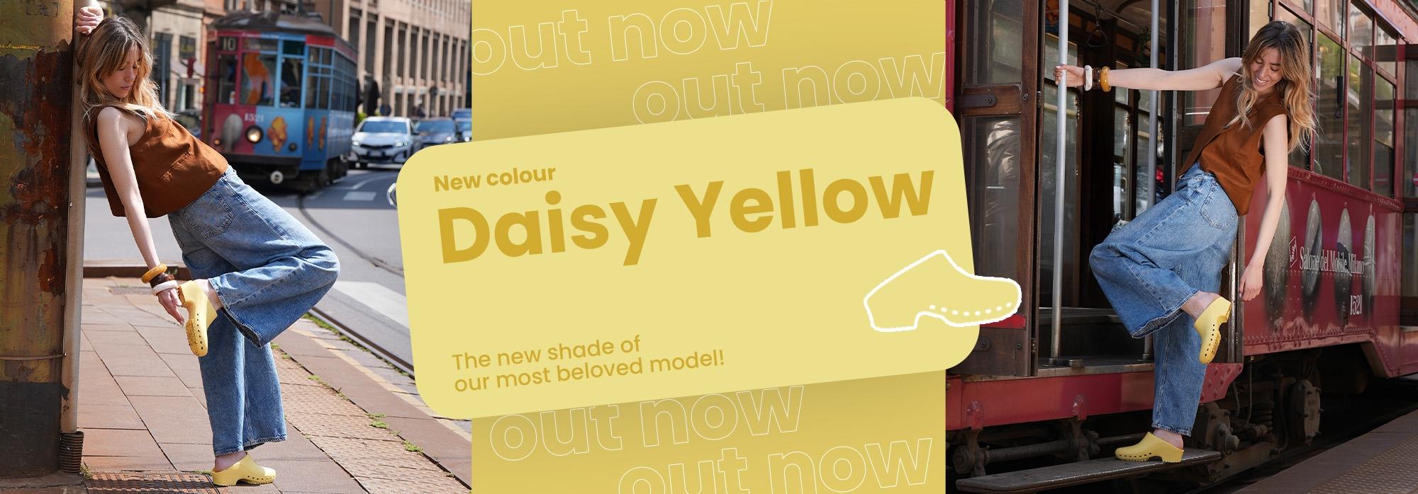 ENGGiallo-Daisy.jpg