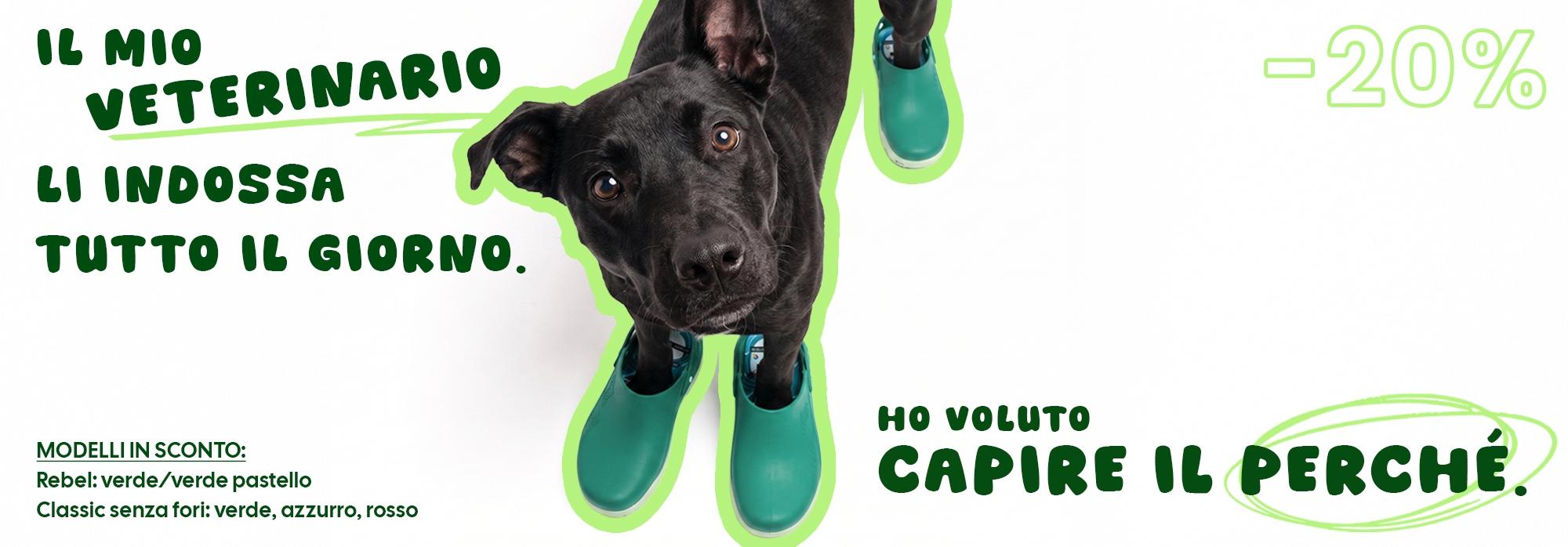 ITA-header-orizzontale-veterinari.jpg