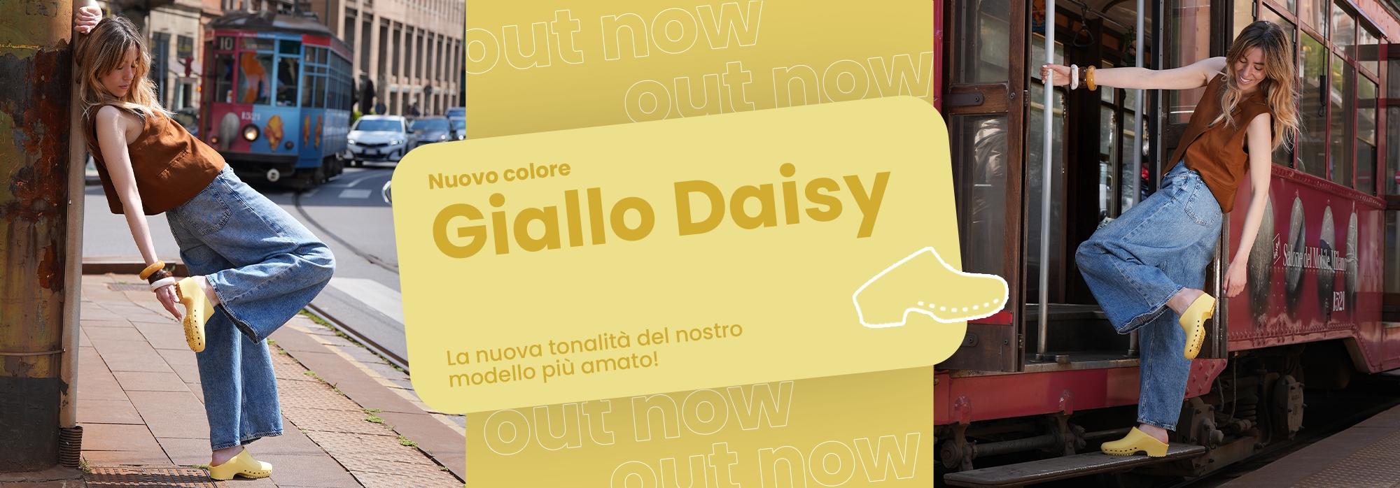 ITAGiallo-Daisy.jpg